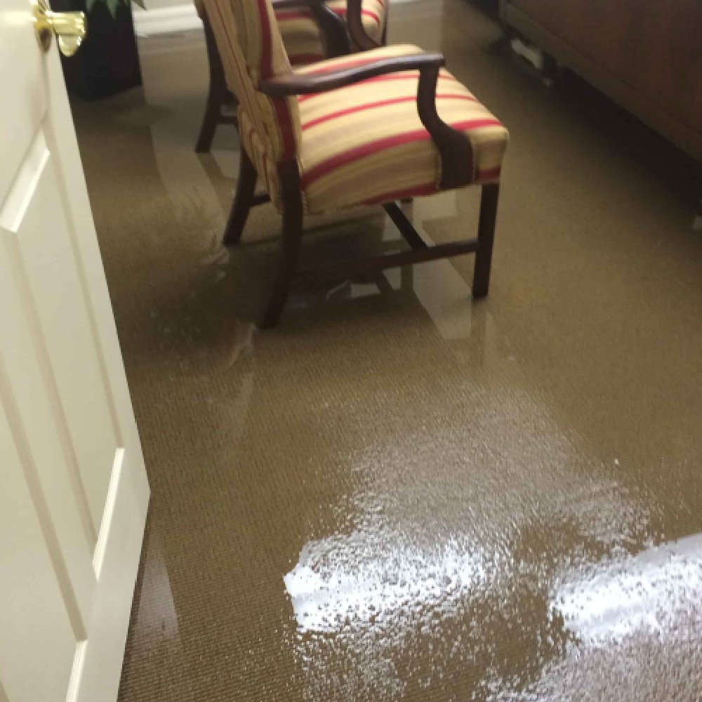 Allied Carpet & Restoration crew working on Sioux City home flood damage