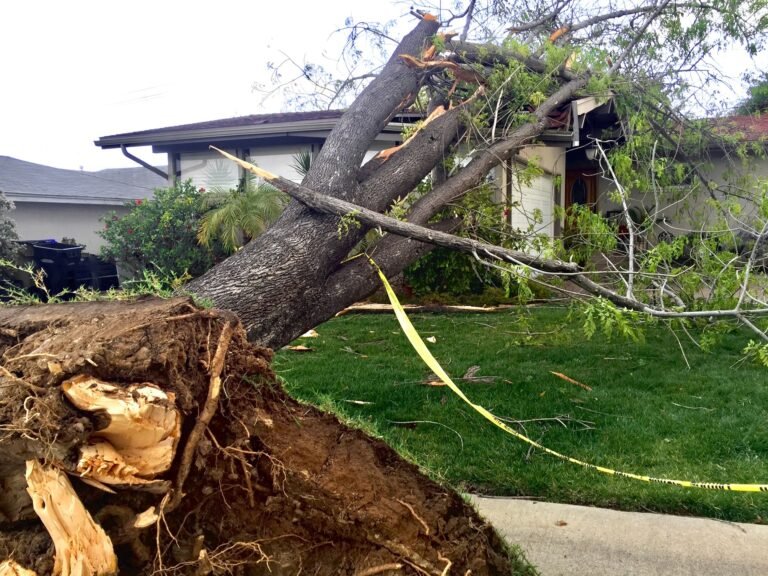 wind-and-storm-damage-restoration-service